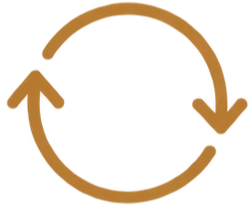 Reorganiza&ccedil;&atilde;o Societ&aacute;ria